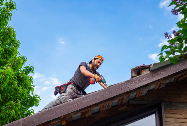 Best Roof Insulation Installation  in Kearney, MO